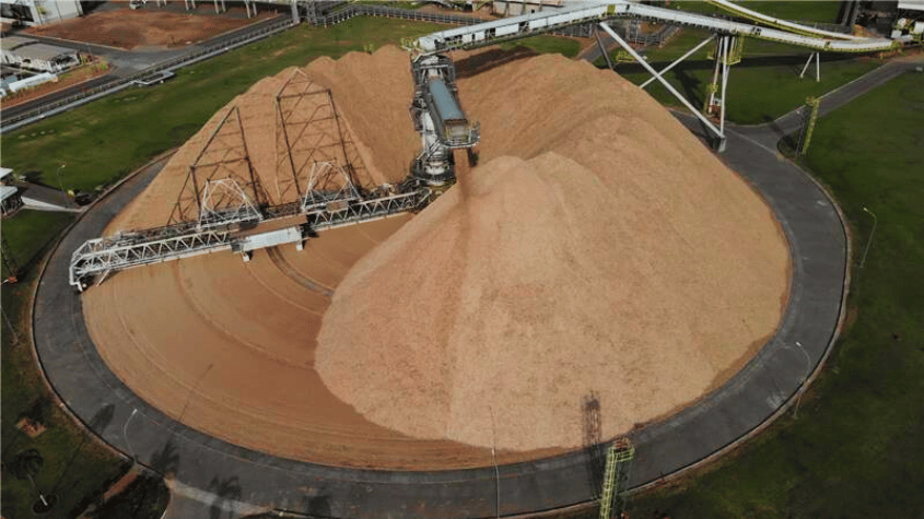 Palestra: Projeto Cerrado da Suzano: Inovação e Oportunidades para